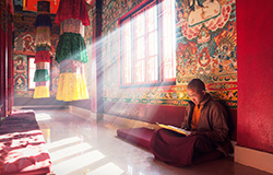 Tibet tours