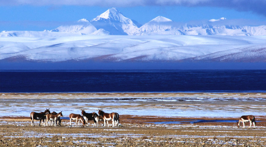 Tibet tours