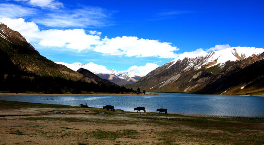 Tibet tours