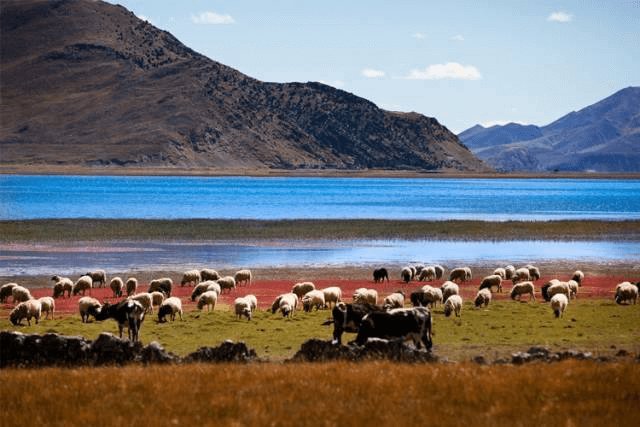 magic-and-mystery-in-tibet
