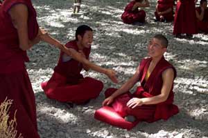 Drepung Monastery Debating