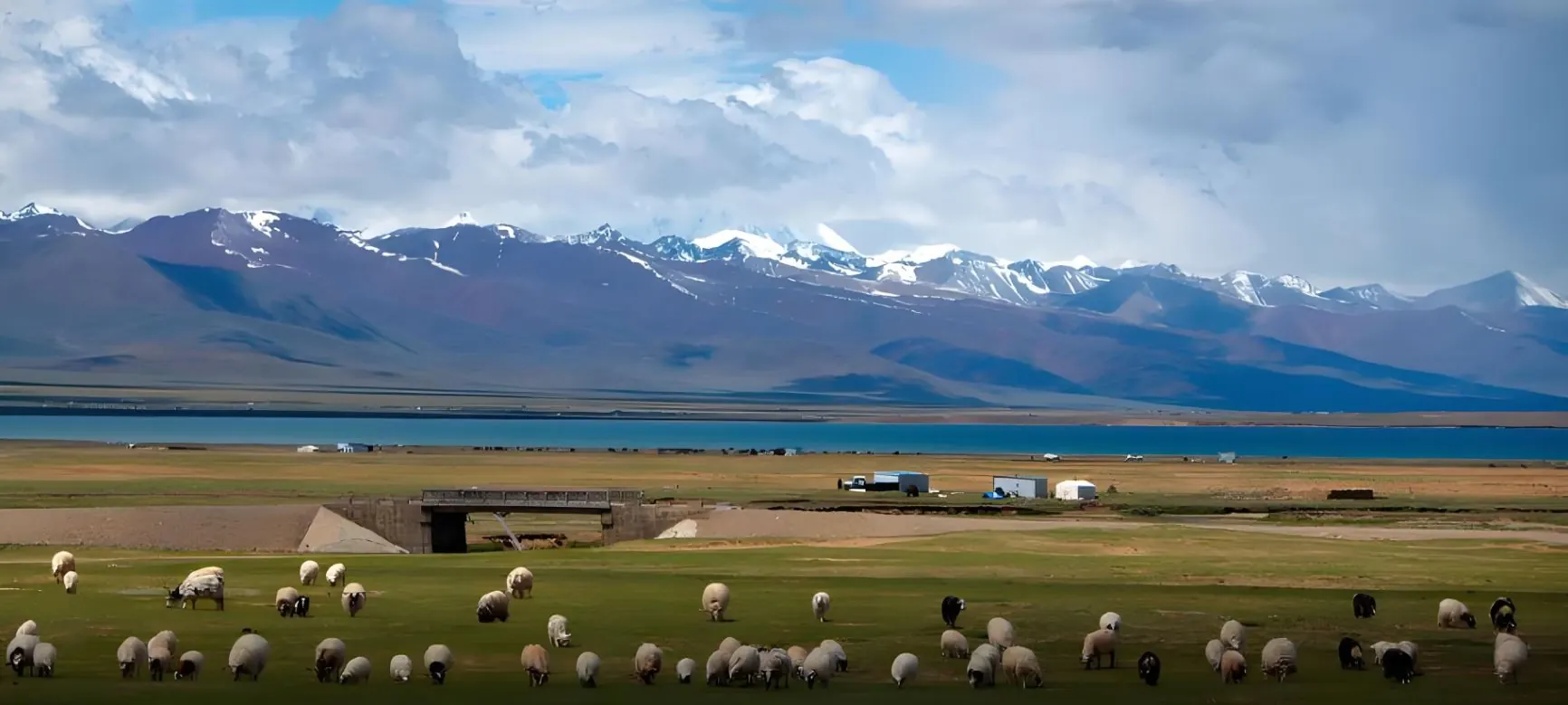 A lake and grassland on the Tibetan plateau seen from the railway side