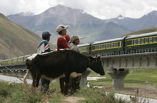 Tibet train seen by tibet people