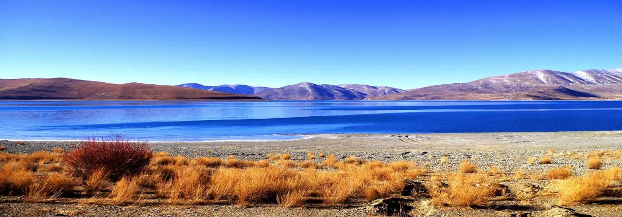 The shore of Yamdrok Lake with grass, water and yaks